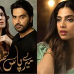 Five Pakistani dramas with real celebrity couples!